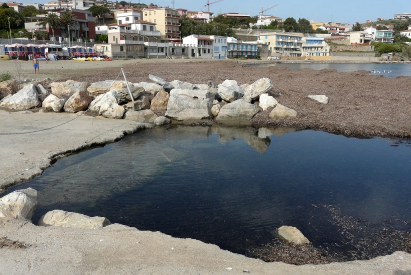 Rio Salivoli (Piombino) - rospi smeraldini in citt!